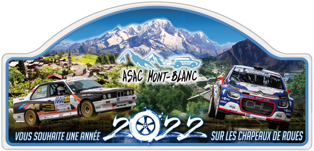 Direction assistée électrique adaptable voiture de rallye